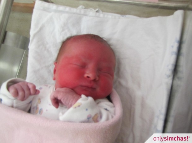 Birth  of  Baby Girl to Moshe and Shani Greenfield