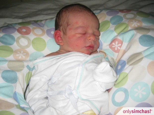 Birth  of  yummy BOY (12-20-10) to Jason & Bracha Ihm