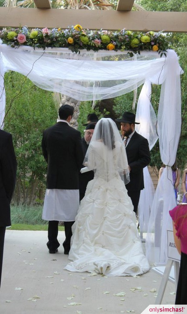 Wedding  of  Alessandra Pressman & Jeremy Pressman