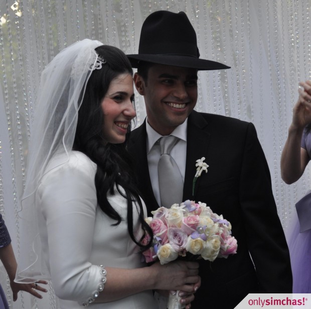 Wedding  of  Lisa Okun & Eli Babich