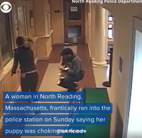 Amazing: Watch Cops Save a Choking Dog