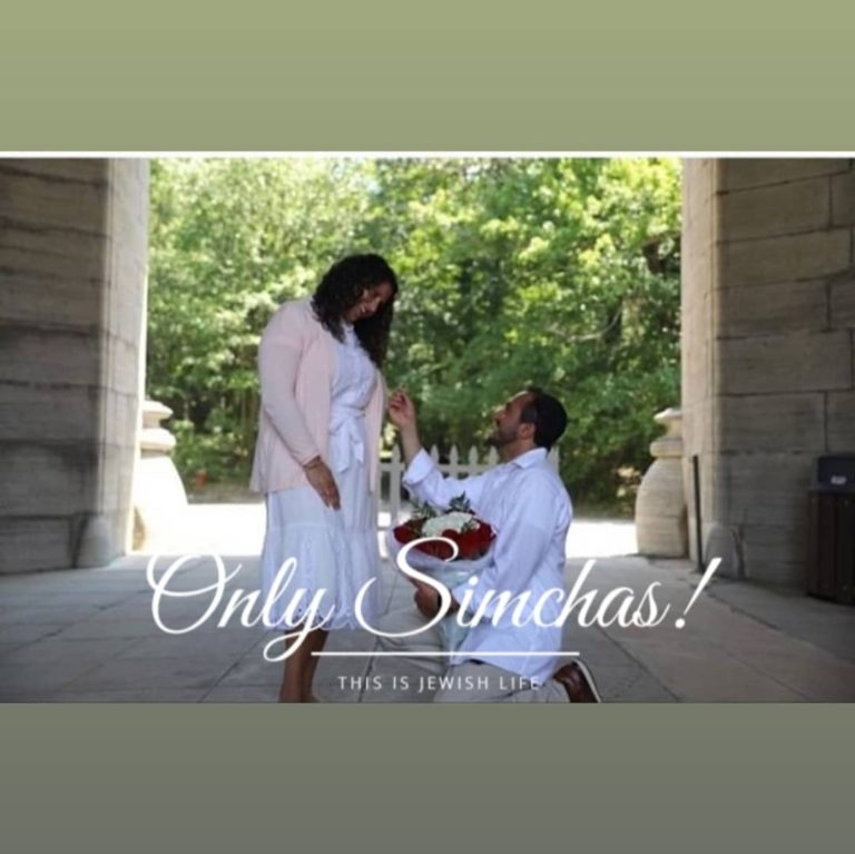 Engagement of Ebi Setareh (queens) and Amanda Raofim (Roslyn)! #onlysimchas