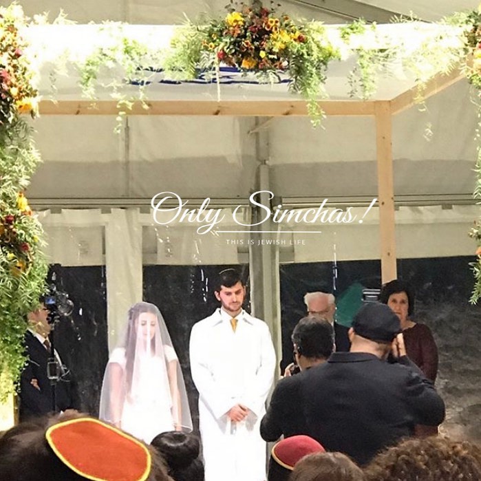 Wedding of Rachel Schreiber and Jon liebman